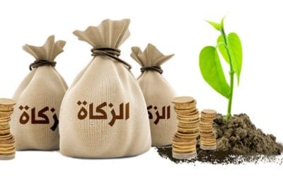 الزكاة :تعريفها وأهميتها والحكمة منها والأموال التي تجب عنها الزكاة