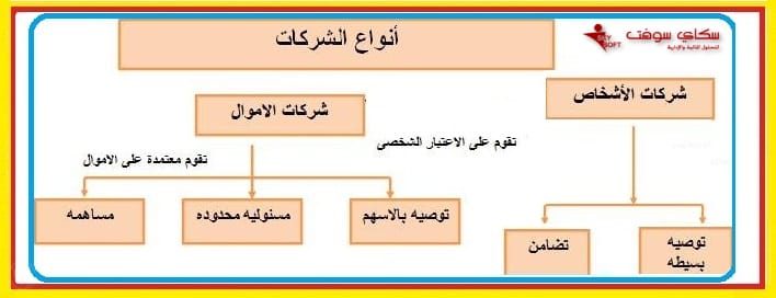 أنواع الشركات