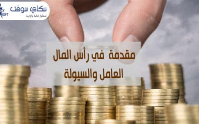 رأس المال العامل والسيولة