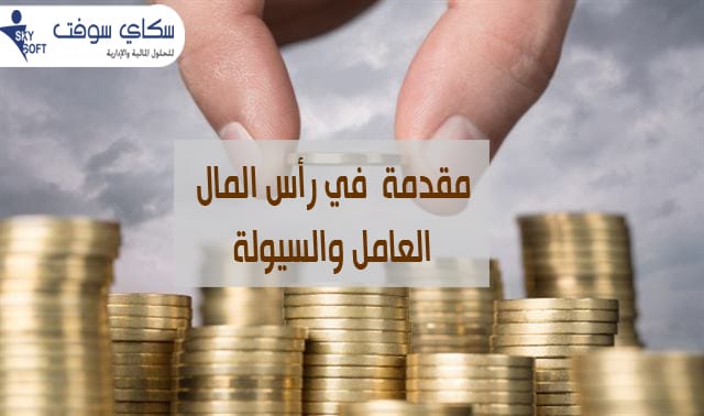 رأس المال العامل والسيولة