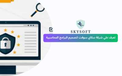 أفضل شركة تصميم برامج محاسبية مع الصيانة في السعودية | سكاي سوفت
