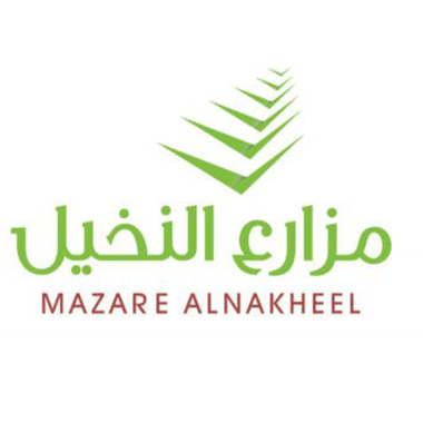 6 logo