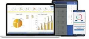 معايير اختيار أفضل برامج محاسبية للشركات